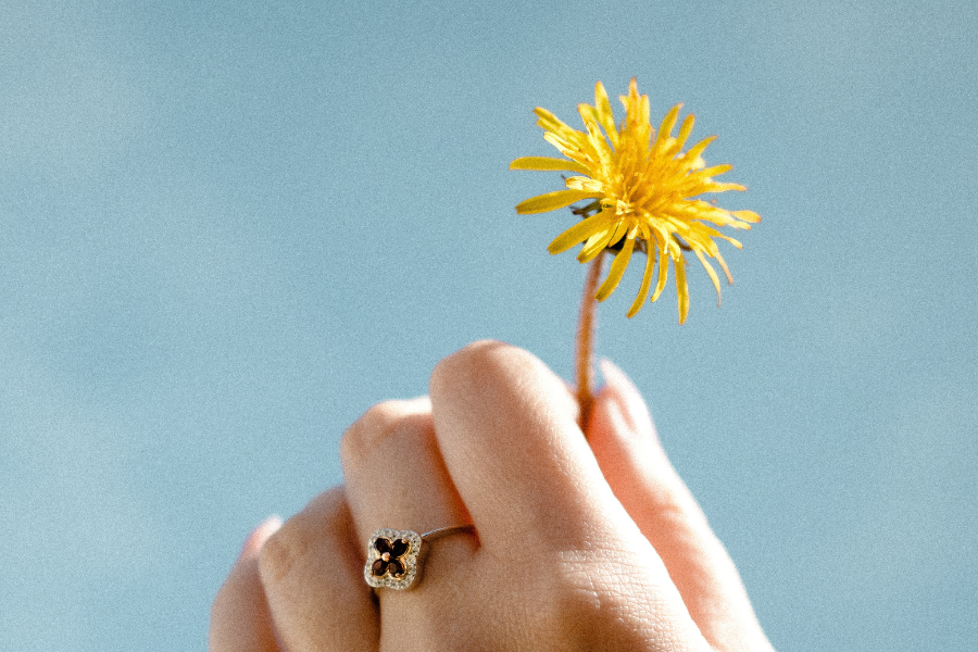 Mão de uma mulher segurando uma flor amarela